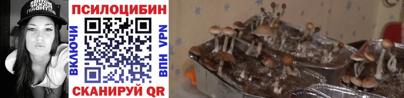 Псилоцибиновые грибы ЛСД  Майский 
