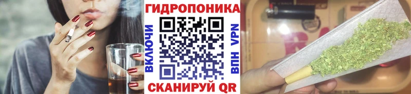 Шишки марихуана гибрид Майский